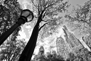 Central Park West